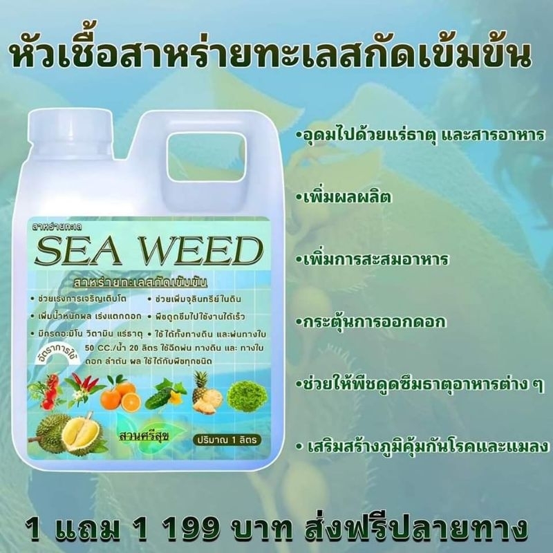 หัวเชื้อสาหร่ายทะเลสกัดเข้มข้น1ลิตรแถม1ลิตร