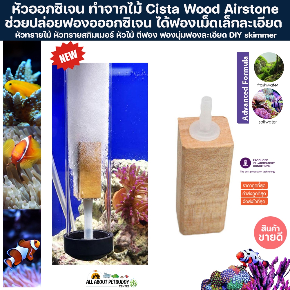 หัวทรายไม้ หัวทรายสกิมเมอร์ หัวไม้ ตีฟอง ฟองนุ่มฟองละเอียด DIY skimmer แบบไม้ Cista Wood Airstone หัวไม้หัวozone