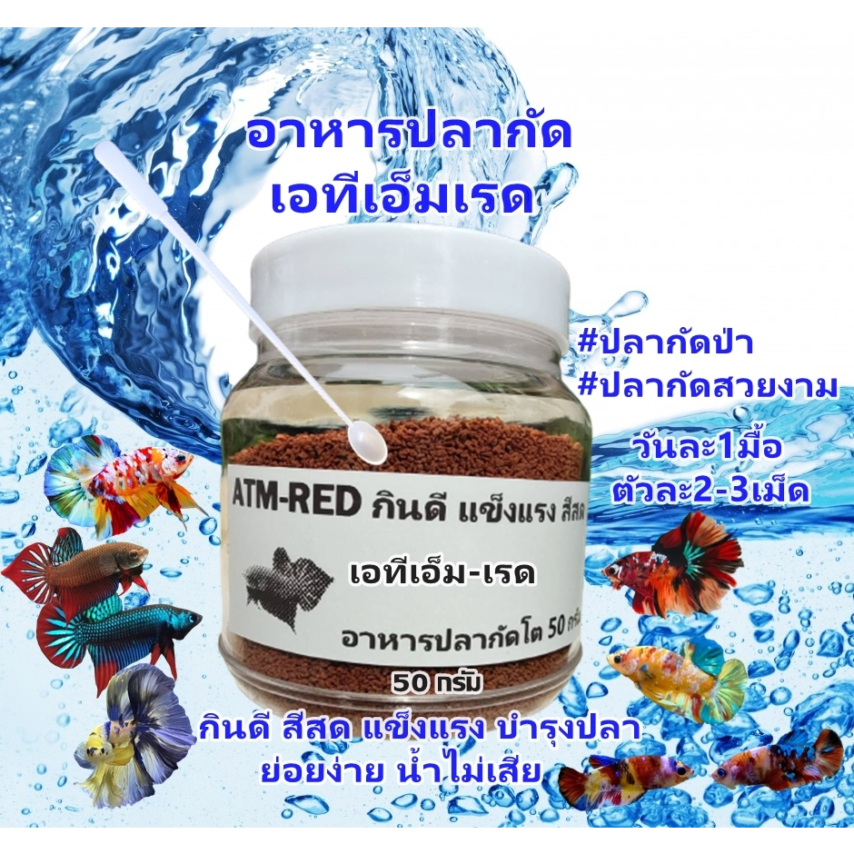 อาหารปลากัดทุกสายพันธุ์ ATM-RED 50กรัม โปรตีนสูง+วิตามินแร่ธาตุ กินดีแข็งแรง น้ำไม่เสีย ทดแทนไรแดง อาร์ทีเมีย ลูกน้ำ