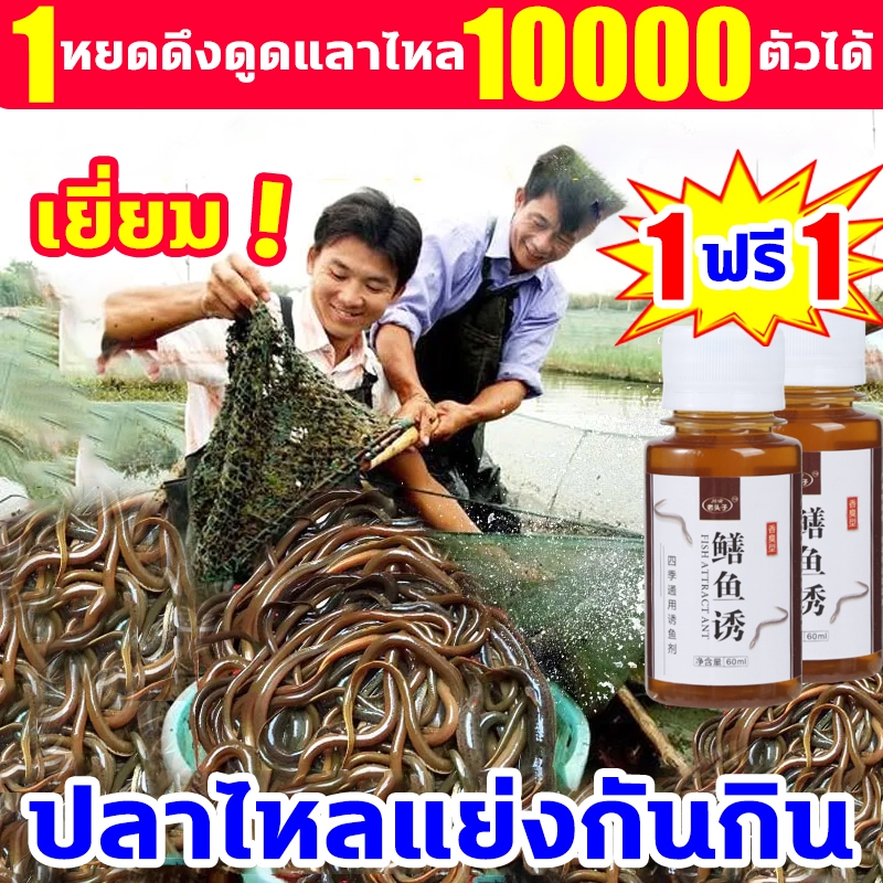 หัวเชื้อตกปลาไหลนา60ML ความเข้มข้นสองเท่า สิ่งล่อใจที่แข็งแกร่ง ล่อปลาไหล ไม่ต้องรอนาน จับปลาไหลเร็ว รวมเหยื่อล่อแ ปลาไห