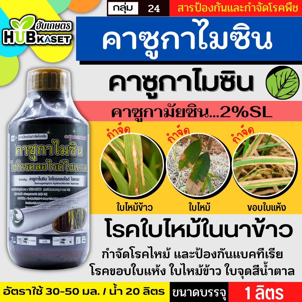 คาซูกาไมซิน 1ลิตร (ไก่เกษตร) ป้องกันเชื้อราโรคไหม้และแบคทีเรีย