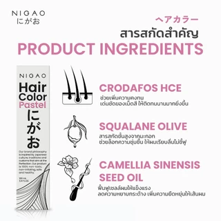 NIGAO Hair Color รวมโทนสีพาสเทล สีย้อมผม