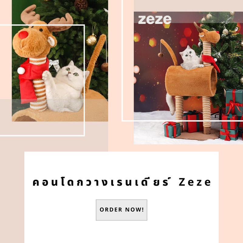คอนโดกวางเรนเดียร์ Zeze
