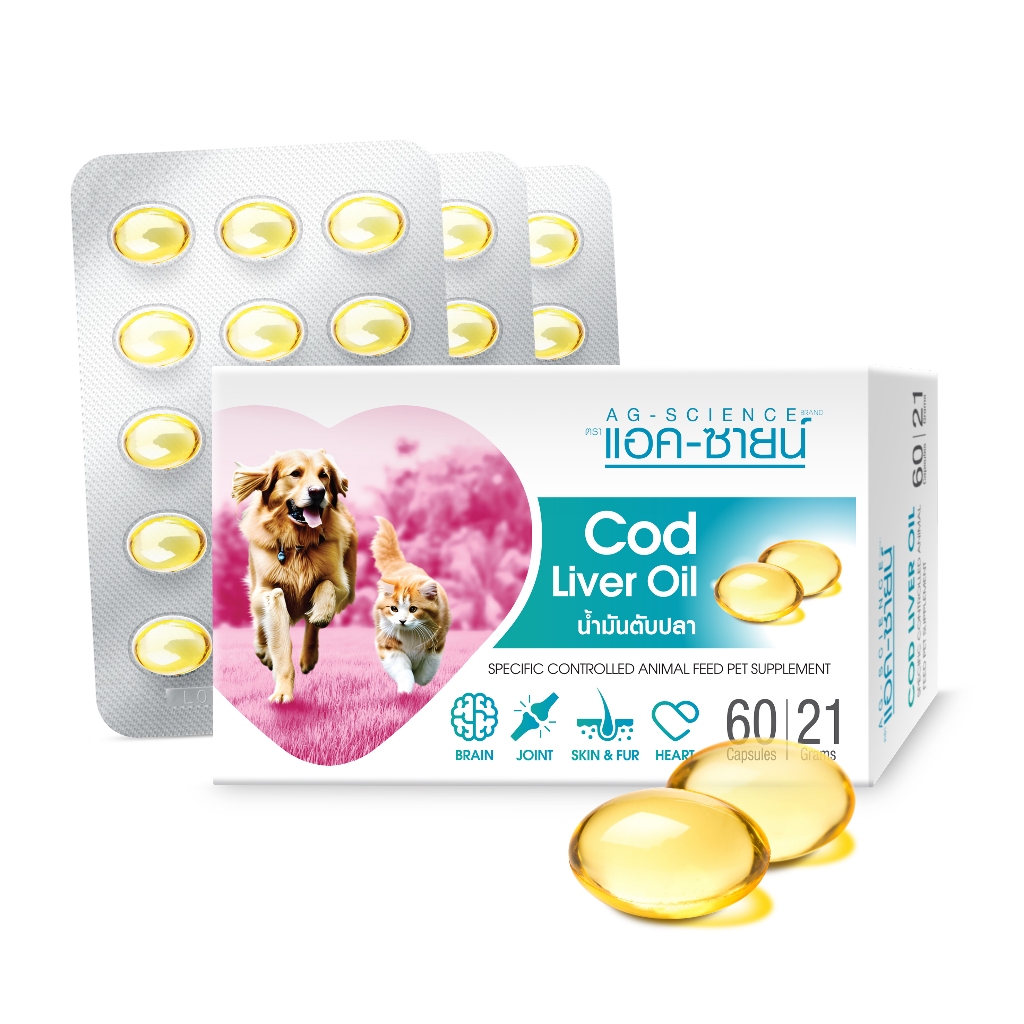 Cod Liver Oil น้ำมันตับปลา 60 เม็ด/กล่อง 1 กล่อง 4 เเผง / 1 แผง 15 เเคปซูล