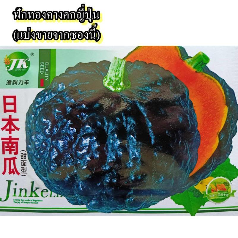 8 เมล็ด เมล็ดฟักทองคางคกญี่ปุ่น (รสชาติหวานมันอร่อย เนื้อแน่น เปลือกผิวขรุุขระสีเขียวเข้ม เนื้อด้านในสีเหลืองอมส้ม)