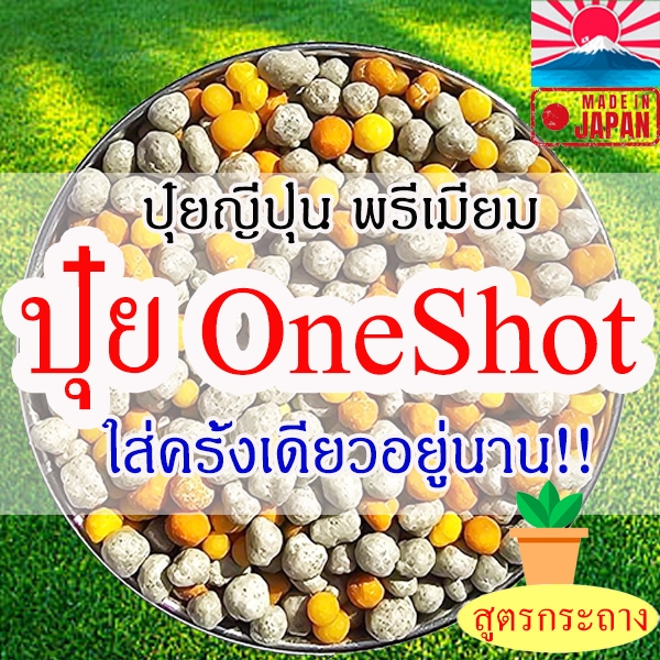 ปุ๋ยone shot📌10แถม1!!📌ใส่ครั้งเดียวอยู่นาน!!🎯ถูกที่สุด 10บ.🎯ปุ๋ย one shot ญี่ปุ่น10บ.🌿ละลายช้า🌿เร่งโตพืช🌿🌱ไร้สารตกค้าง