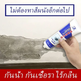 [จัดส่งในกทม] กาวปะผนัง ครีมฉาบซ่อมผนัง ซ่อมรอยแตก อุดรูรั่ว กาวโพลีเมอร์ กาวซีเมนต์ อุดรอยรั่ว ปูนกา250g
