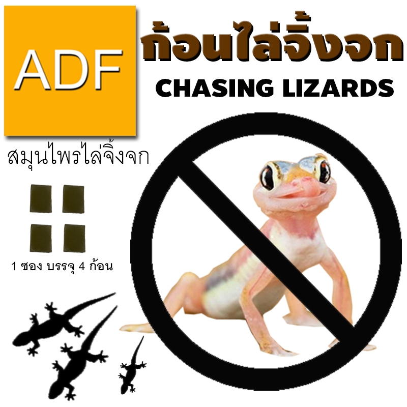 ก้อนไล่จิ้งจก ไล่จิ้งจก ก้อนไล่จิ้งจก ADF 1 ซอง มี 4 ก้อน