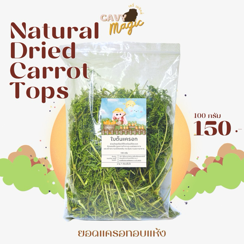 หญ้ากระต่ายและแกสบี้ ต้นแครอทอบแห้ง Dried carrot