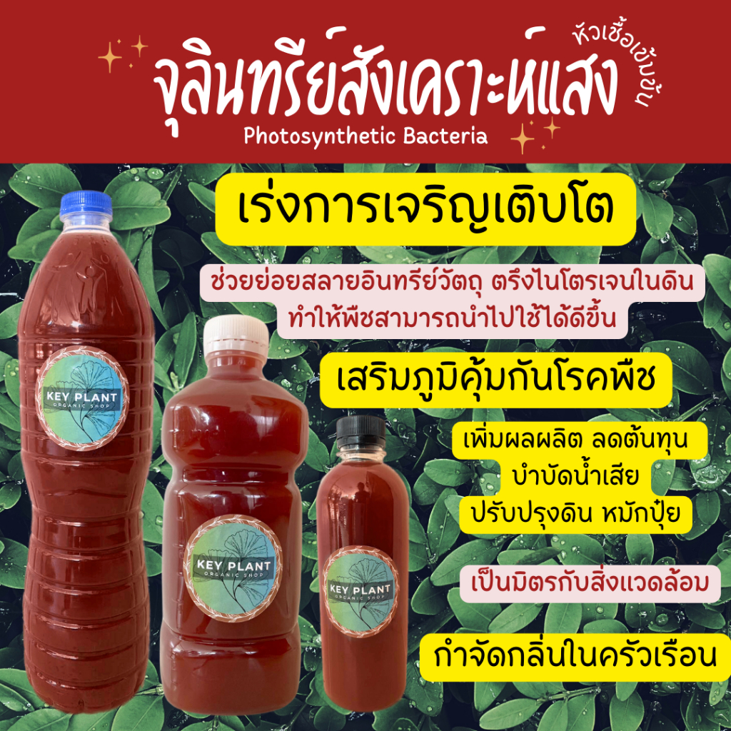 จุลินทรีย์สังเคราะห์แสงหัวเชื้อเข้มข้น PSB ปุ๋ยอินทรีย์บำรุงพืชโตเร็วแข็งแรงปลอดโรค ตรึงไนโตเจน
