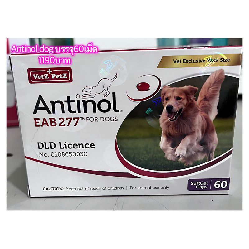 Antinolผลิตภัณฑ์บำรุงรักษากระดูกและข้อสุนัขแมว
