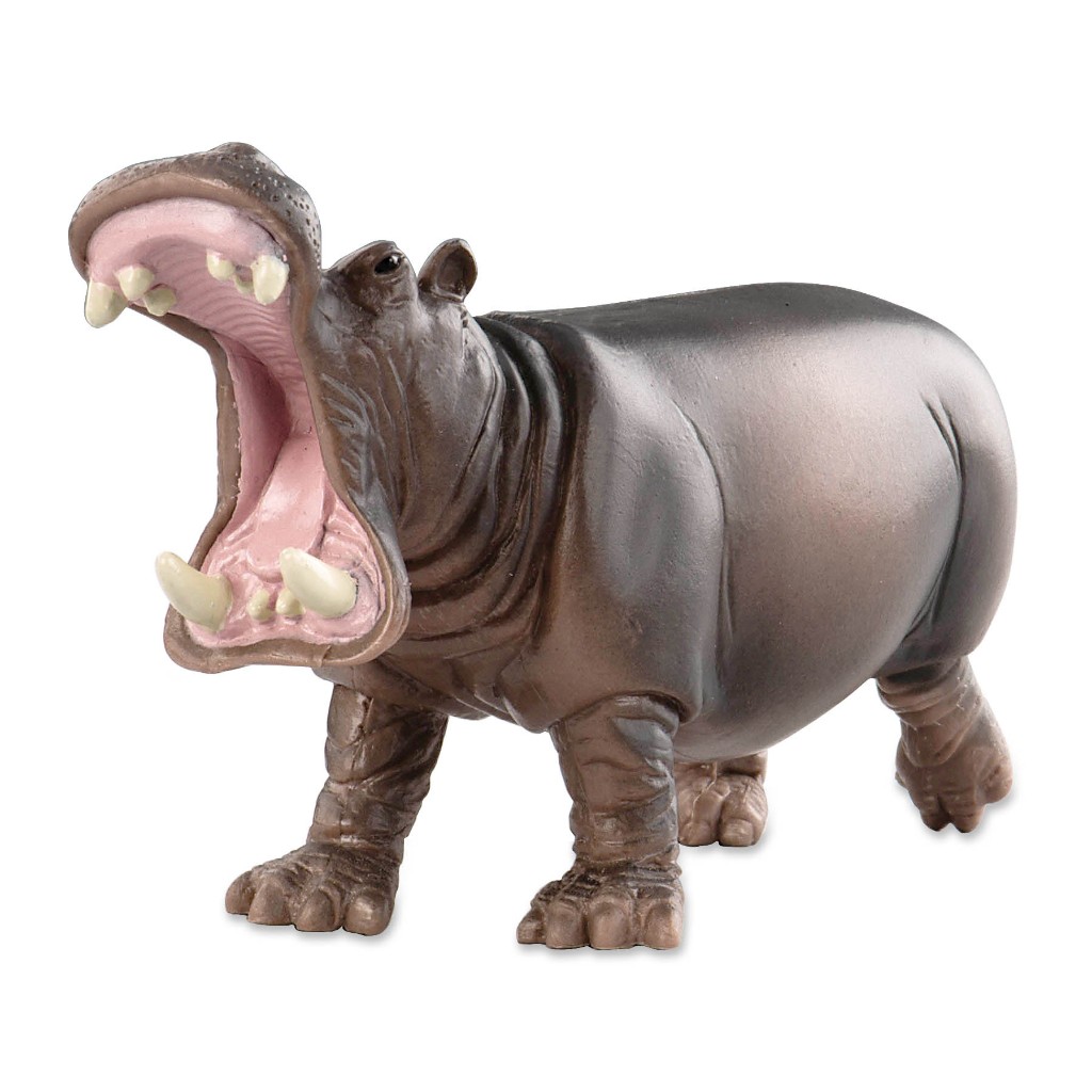 Terra HIPPO - AN2686Z