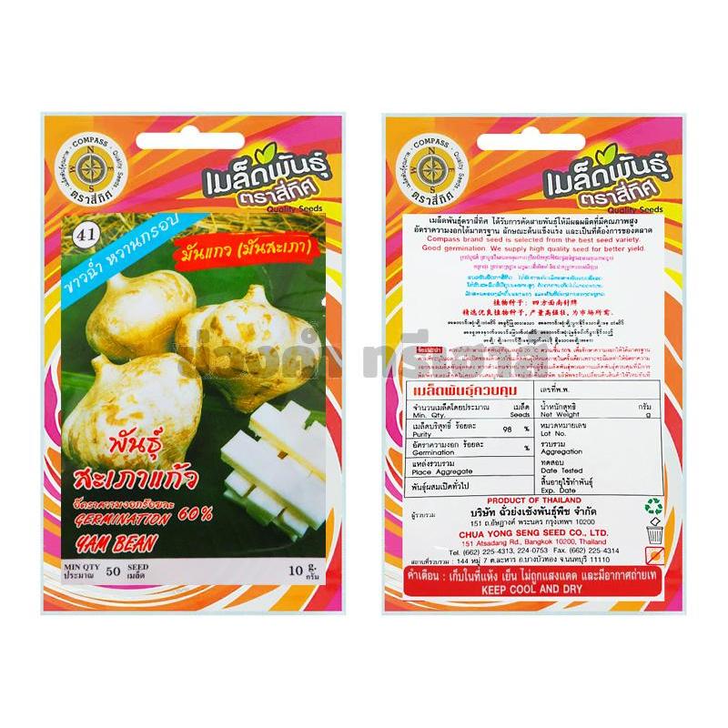 เมล็ดมันแกว (มันสะเภา) รหัส KTA4664