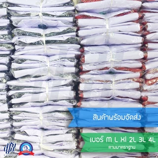 ชุดนักเรียน อนุบาล เอวจั้ม ยางยืด ตราชนินทร์อาภรณ์