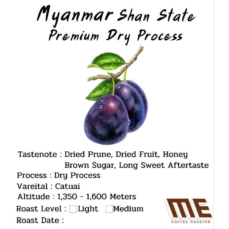 เมล็ดกาแฟ Myanmar Shan State Premium Dry Process