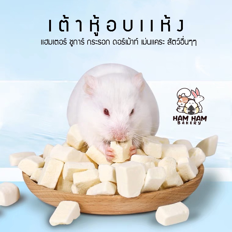 เต้าหู้อบเเห้ง เสริมโปรตีน ขนม กระต่าย แฮมสเตอร์ กระรอก เม่นแคระ ชูการ์