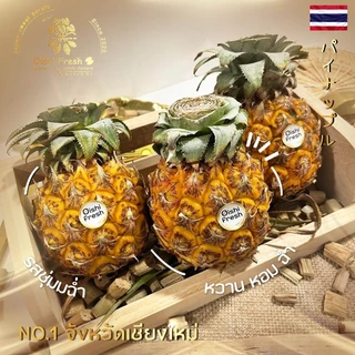 🇹🇭Oishi-fresh🍍สับปะรด ภูแล รสชาติ หวานอมเปรี้ยว สด ใหม่ ใยอาหารสูง หวานออร์แกนิค เคลมได้ 1-2 วัน