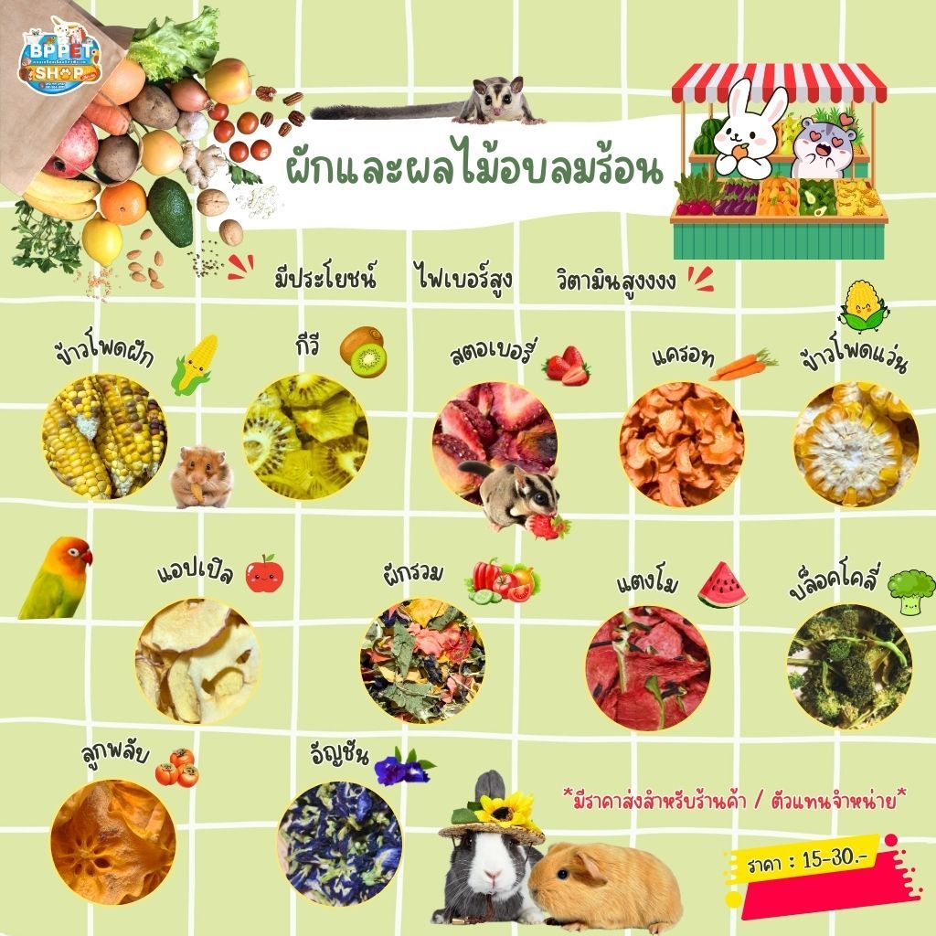 ขนมหนูแฮมสเตอร์ กระต่าย แกสบี้ ชูก้าร์ไกลเดอร์ นกแก้ว ผักผลไม้อบลมร้อน (ซอง) ขนมสัตว์เล็ก (BP)