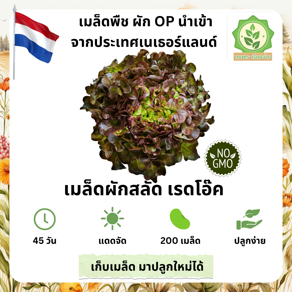 เมล็ดพันธุ์สลัดรวมผักต่างๆ เรดโอ๊ค เรดโอ๊ดเมล็ดสลัดนอก นำเข้าต่างๆ พันธุ์ OP บรรจุ 40-200 เมล็ด