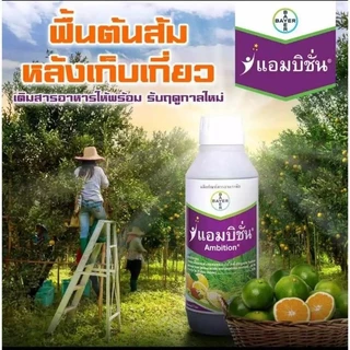 แอมบิชั่น1​ลิตร สาระสําคัญ : อะมิโน+ฟลูวิคเข้มข้น ขนาด 1ลิตร