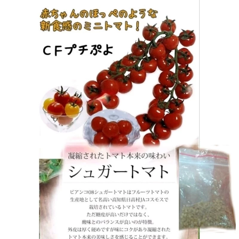 เมล็ดพันธุ์มะเขือเทศ phuchipuyo japan sweet (ชุด20เมล็ด)
