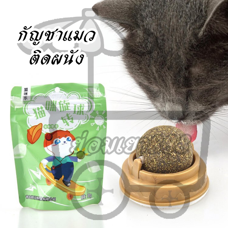 กัญชาแมวติดผนัง กัญชาบอลของเล่นแมว