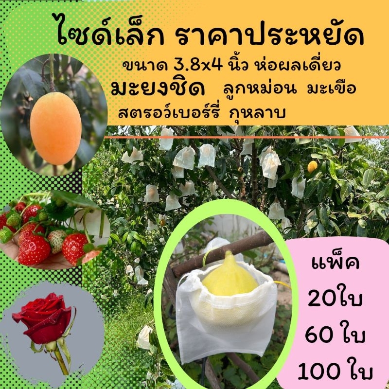 ถูกที่สุด!! ถุงห่อผลไม้ 3.8*4นิ้ว ถุงไซด์เล็ก ห่อมะยงชิด พุทรา ดอกกุหลาบ สตรอว์เบอร์รี่  มะเขือ แพ็ค 20, 40 และ100 ใบ