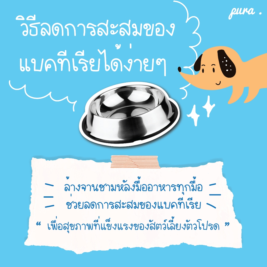 รูปภาพ 8