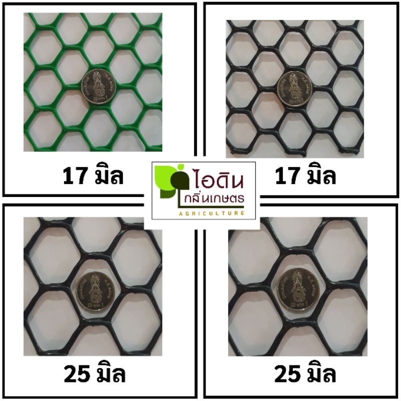 รูปภาพ 8