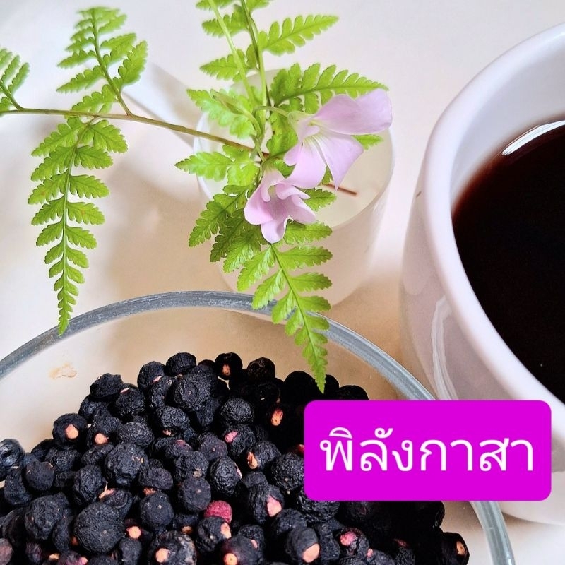 สมุนไพร พิลังกาสา ออร์แกนิค ไร้ก้าน ผลอบแห้ง สะอาด พร้อมทาน