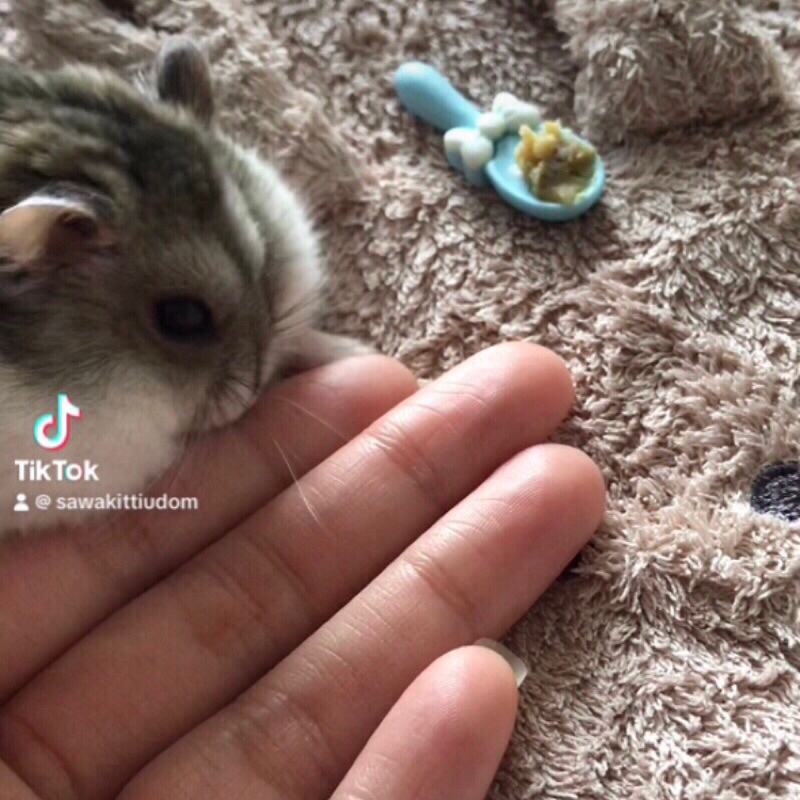 รูปภาพ 7