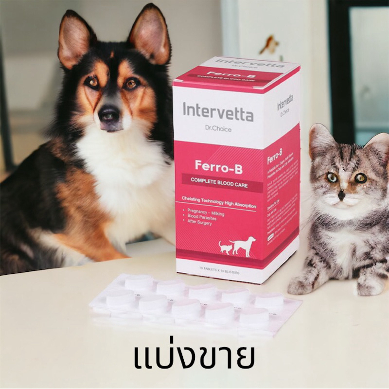 Dr.choice Ferro-B บำรุงเลือด (แบบแบ่งขาย 1 แผง 10 เม็ด)