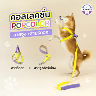 [สินค้าราคาพิเศษ] เซ็ทสายจูงรัดอก หรือ เซ็ทสายจูงปลอกคอ สายจูงสุนัข การันตีคุณภาพ | CLAWSET.BKK