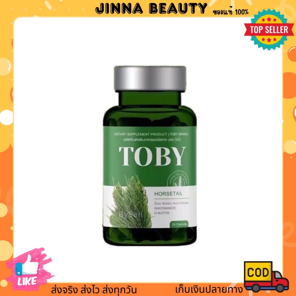 TOBY HORSETAIL โทบี้ ฮอร์สเทล