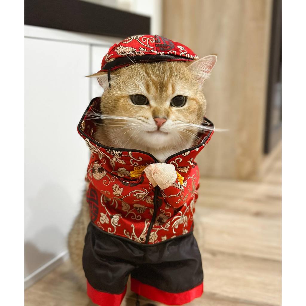 [สินค้าราคาพิเศษ] ชุดสไตล์จีนโบราณ ชุดแฟนซีหมาแมว คอสตูมเทศกาลตรุษจีน | CLAWSET.BKK