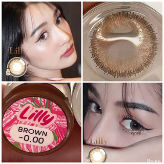 Lilly gray brown Mayalens คอนเเทคเลนส์ สีเทา สีน้ำตาล บิ๊กอาย  Bigeye ✨คอนเเทคเลนส์กรองเเสงUV✨ Mayalens