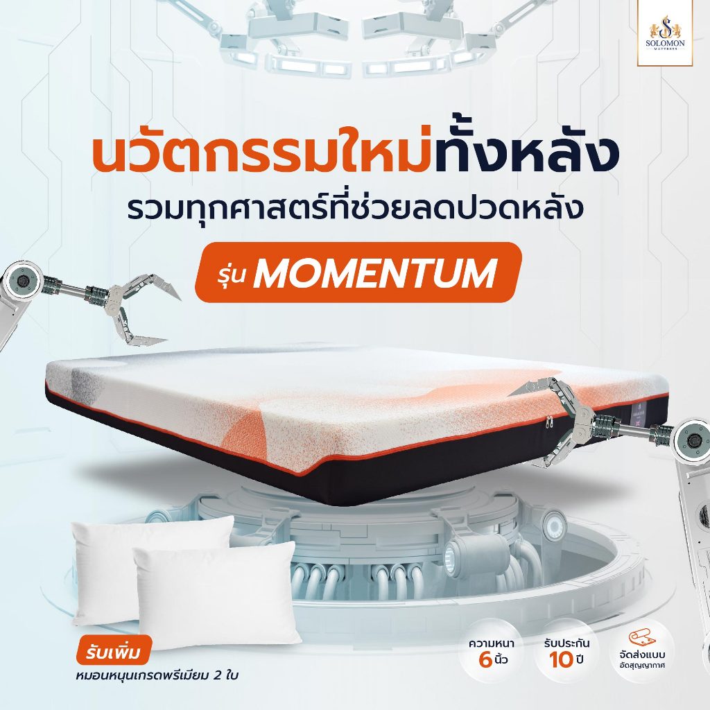 SOLOMON ที่นอนเย็น สัมผัสนุ่ม รุ่น Momentum หนา 6 นิ้ว แถมหมอนหนุนพรีเมี่ยม 2 ใบ รับประกัน10ปี