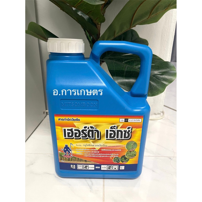 ใช้โค้ตพร้อมกันได้ เฮอร์ต้า เอ็กซ์ กลูโฟซิเนต ขนาด 4ลิตร ยากำจัดหญ้า ใบแคบ ใบกว้าง ยาเผาไหม้