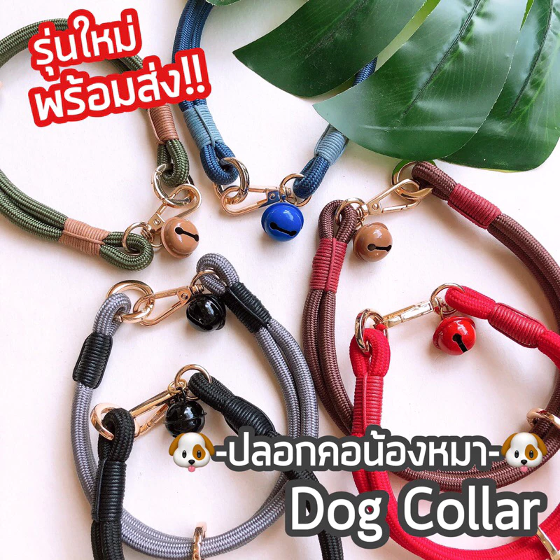 มาใหม่! ปลอกคอเชือกเส้นใหญ่ สำหรับน้องหมา สวยหรูมากๆ