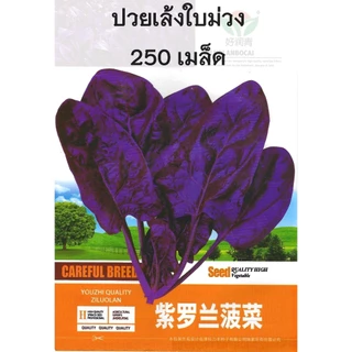 เมล็ดปวยเล้ง ปวยเล้งญี่ปุ่น 250-1600เมล็ด (5-40กรัม) สายพันธุ์ OP