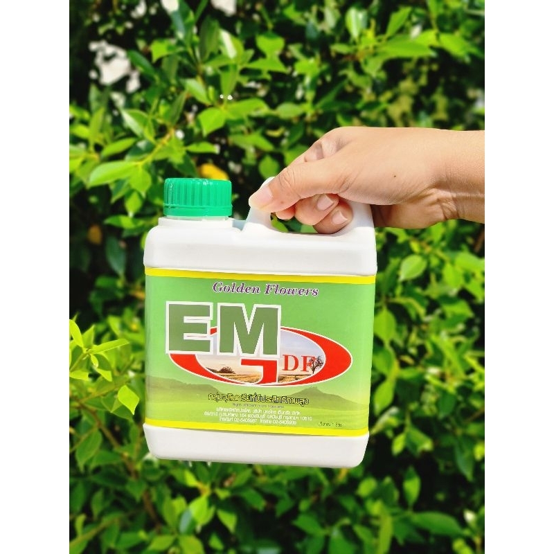 EM หัวเชื้อจุลินทรีย์ Golden Flowers 1 ลิตร