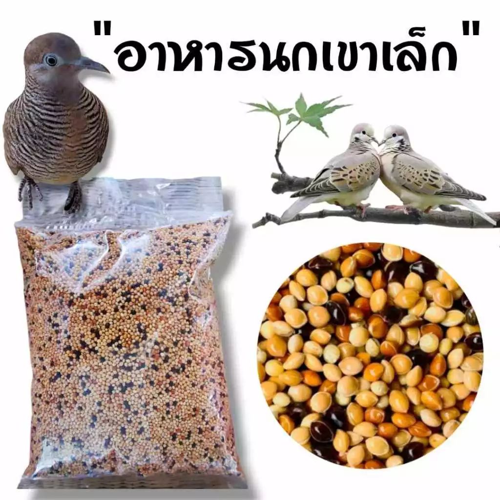 อาหารนกเขาเล็ก มิลเล็ตรวม 3 สี แบ่งขาย 1 kg