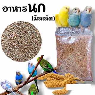 อาหารนก มิลเล็ตขาว White Millet เกรดA อาหารธัญพืชสำหรับนก ถุ…