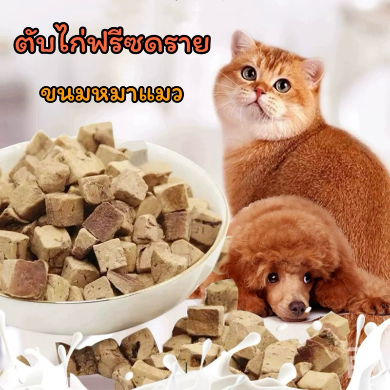 ตับไก่ฟรีซดราย [กระปุก] ไม่เค็ม ขนมฟรีซดรายแมว ขนมสุนัข ขนมแฮมสเตอร์