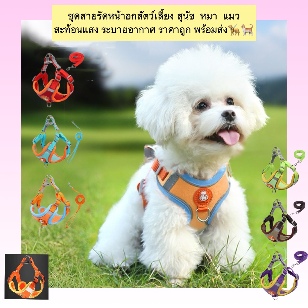 AL-535 ชุดสายรัดหน้าอกสัตว์เลี้ยง สุนัข  หมา  แมว สะท้อนแสง ระบายอากาศ ราคาถูก พร้อมส่ง