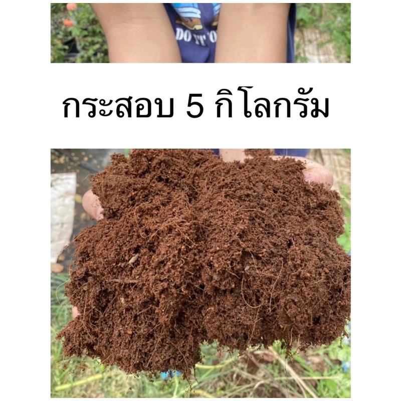 ขุยมะพร้าวหมักเก่าพร้อมใช้ ปลูกกุหลาบ ผัก หม้ดอกไม้ประดับ 5 กก.
