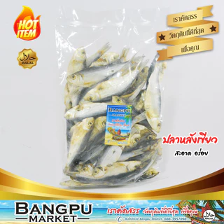 ปลาหลังเขียวแห้ง ถอดเกล็ด ปลากุแลตากแห้ง ปลาแดดเดียว ไร้เกล็ด (ตากแห้ง) ขนาดปานกลาง (ปลาหลังเขียวเค็ม ปลาเค็มไม่มีเกร็ด