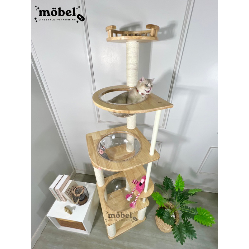[ส่งฟรี ]คอนโดแมวไม้ยางพารา สูง2เมตร สำหรับแมวจ้ำม่ำ/แมวพันธุ์ใหญ่ มี3หลุม อ่างใสใหญ่พิเศษ ราคา ถูกที่สุด ดีลบีเคเค แกลเลอรีภาพที่ 4