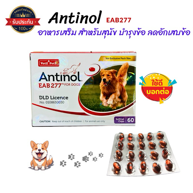 Antinol EAB277 สุนัข  แพ็คเกจใหม่ ของแท้ 100% อาหารเสริม บำรุงข้อ ลดอักเสบข้อ 1 กล่อง : 60 แคปซูล