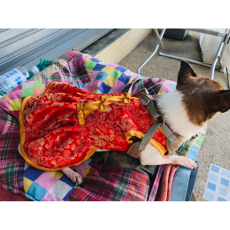 รูปภาพ 5